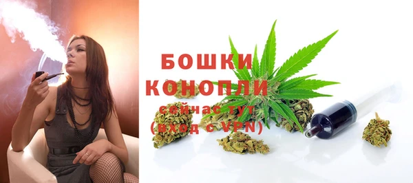 гидра Бутурлиновка