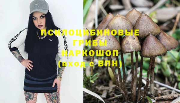 гидра Бутурлиновка