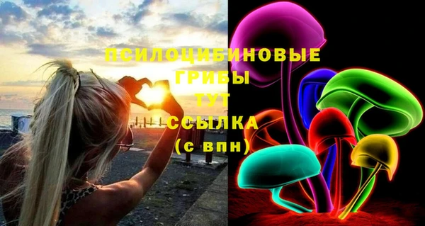а пвп мука Ветлуга
